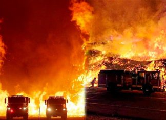 Eaton & Palisades Fires Update | Lawsuits Reveal Allegations of Negligence by Southern California Edison & LADWP
