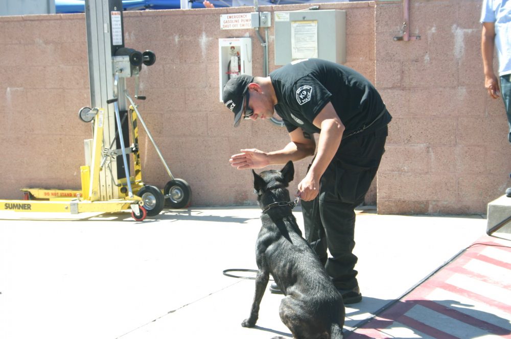 south-pasadena-news-09-07-17-south-pasadenan-handy-dandy-lineup-for-police-and-fire-4 | The South Pasadenan | South Pasadena News