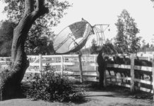 Throwback Thursday | Harnessing the Sun