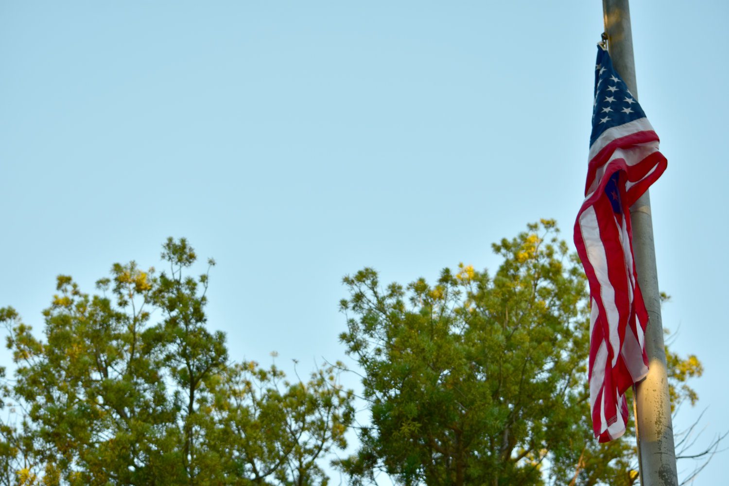 | The South Pasadenan | South Pasadena News
