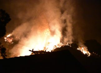 Firescaping the Foothills | Online Townhall June 24