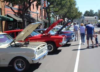‘Cruz’n For Roses’ Rolls in Sep 15 | Car Show Celebrates 15th Year