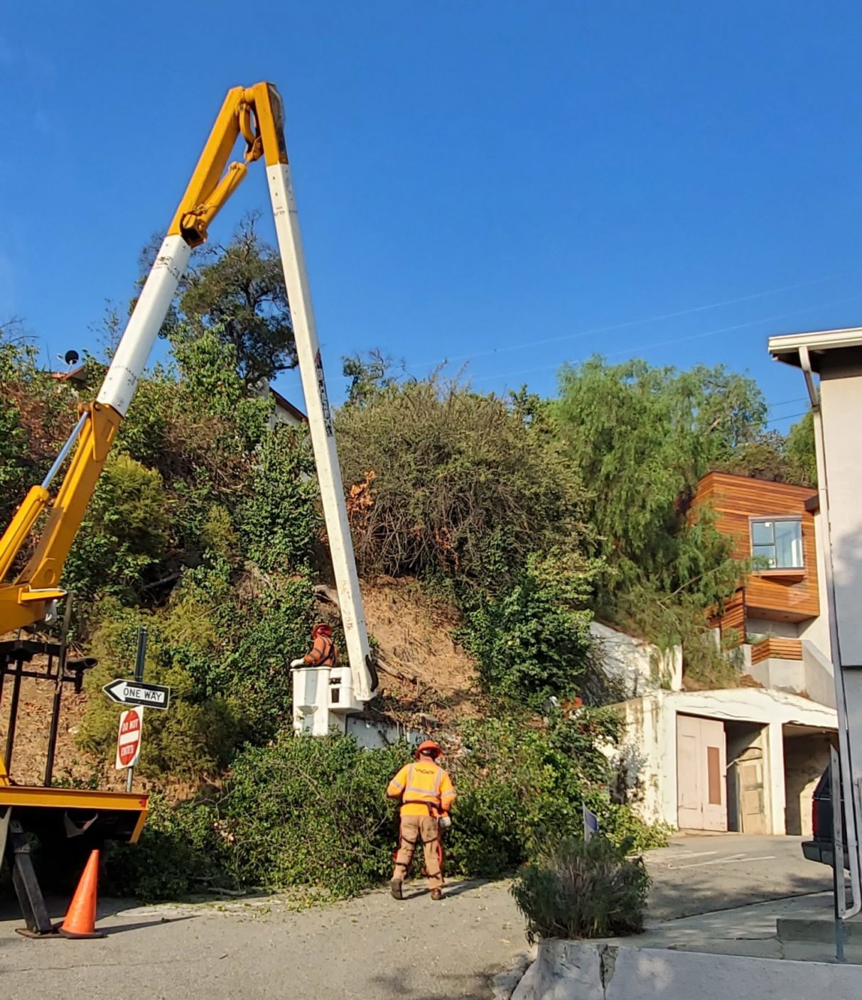 | The South Pasadenan | South Pasadena News
