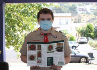 Holiday Greenery Time | Order from Scout Troop 342 This Season