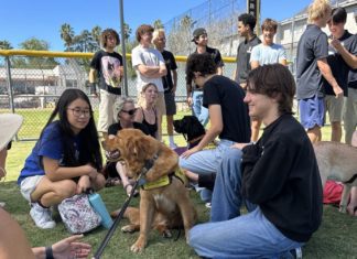 SPUSD | Mental Health Week Activities for Secondary Students PHOTO: provided by SPUSD | The South Pasadenan | SPHS students engage with Guide Dogs of America dogs in training during Mental Health Week activities.