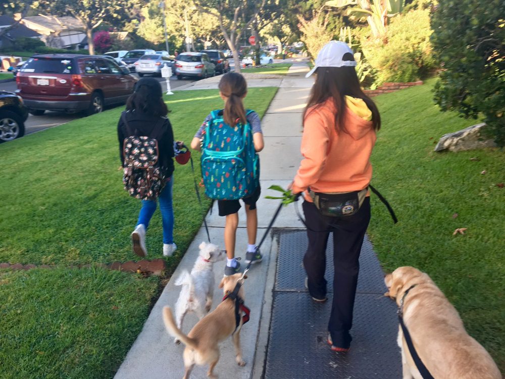 south-pasadena-news-10-09-17-walk-or-bike-to-school-day-in-south-pasadena-01 | The South Pasadenan | South Pasadena News