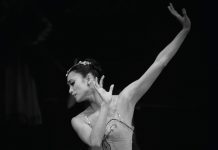 Artists for Aveni Foundation GALA: TICKETS ON SALE NOW | Fundraiser for Cancer Research NOV 14