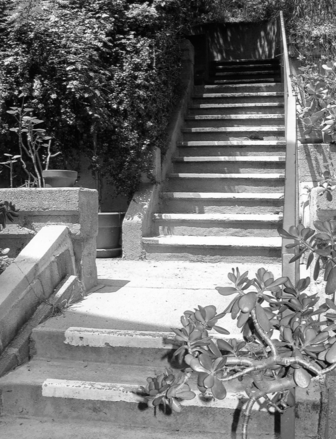 south-pasadena-news-10-11-2018-throwback-thursday (10) | The South Pasadenan | South Pasadena News
