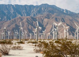 CPA Signs Biggest Deal to Date | Doubles Renewable Capacity