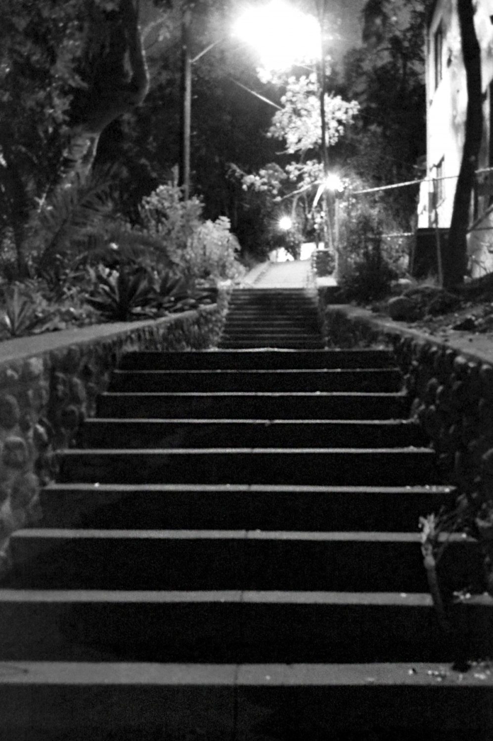 | The South Pasadenan | South Pasadena News