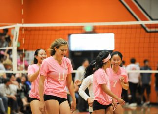 Girls Volleyball – Tigers v Spartans