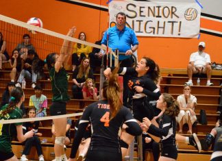 SPHS Sports Update | Multiple Teams Shine this Season