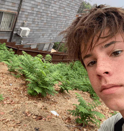 PHOTO: Ryan Long | South Pasadenan | SPHS student Mateo Salas identifies the invasive Tree of Heaven plant in a South Pasadena yard.