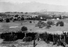 Throwback Thursday | Views of South Pasadena from Monterey Hills