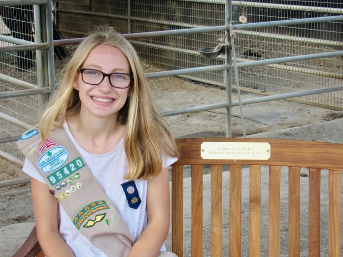 south-pasadena-news-10-18-2018-girlscout