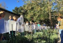California Native Plant Sale