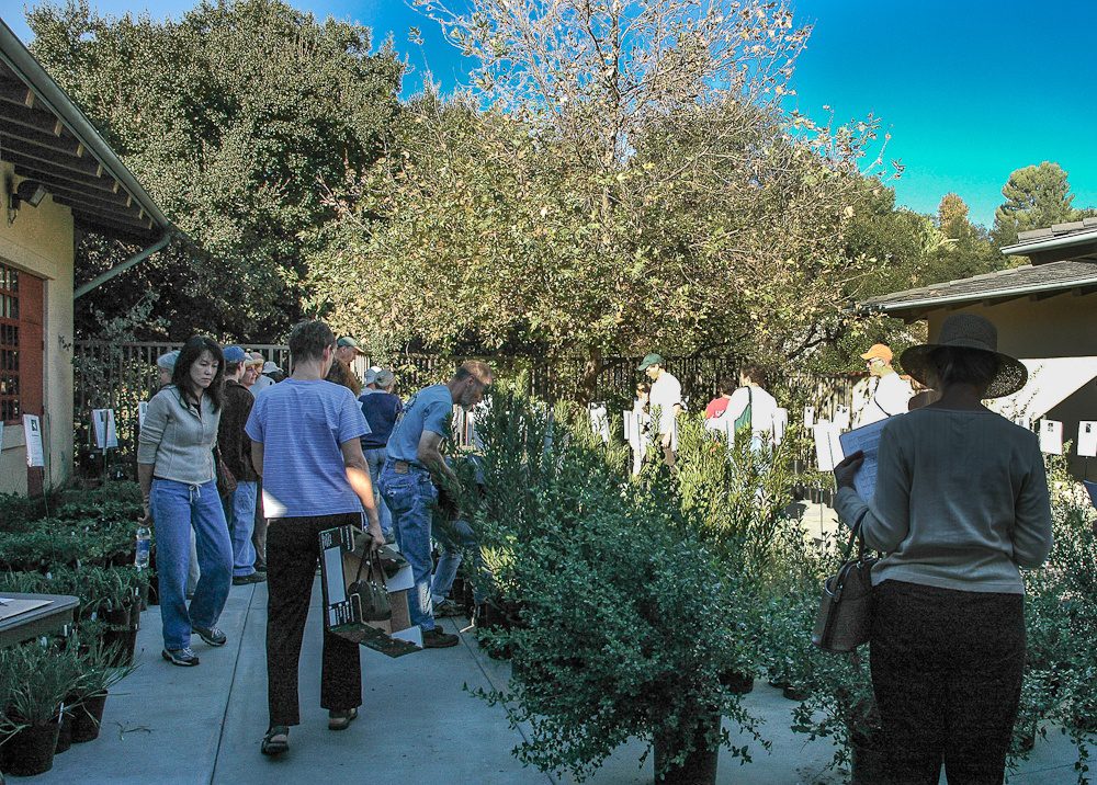 south-pasadena-news-10-18-2018-plant-sale | The South Pasadenan | South Pasadena News