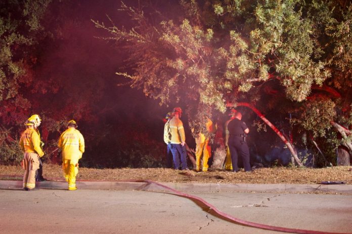 south-pasadena-news-10-24-17-Possible-Arson-Fire-in-Arroyo-03