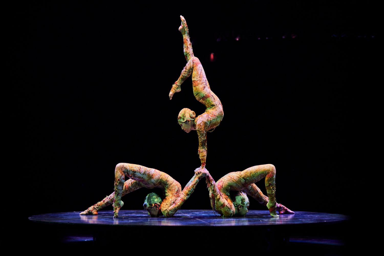 PHOTO Matt Beard | The South Pasadenan | The contortionists in Cirque du Soleil's KOOZA