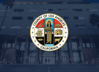 Elevated Lead Levels Found in Soil Downwind from Eaton Fire, Public Health Reports