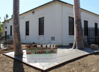 Post Office Landscaping | Seeking Support from the Community