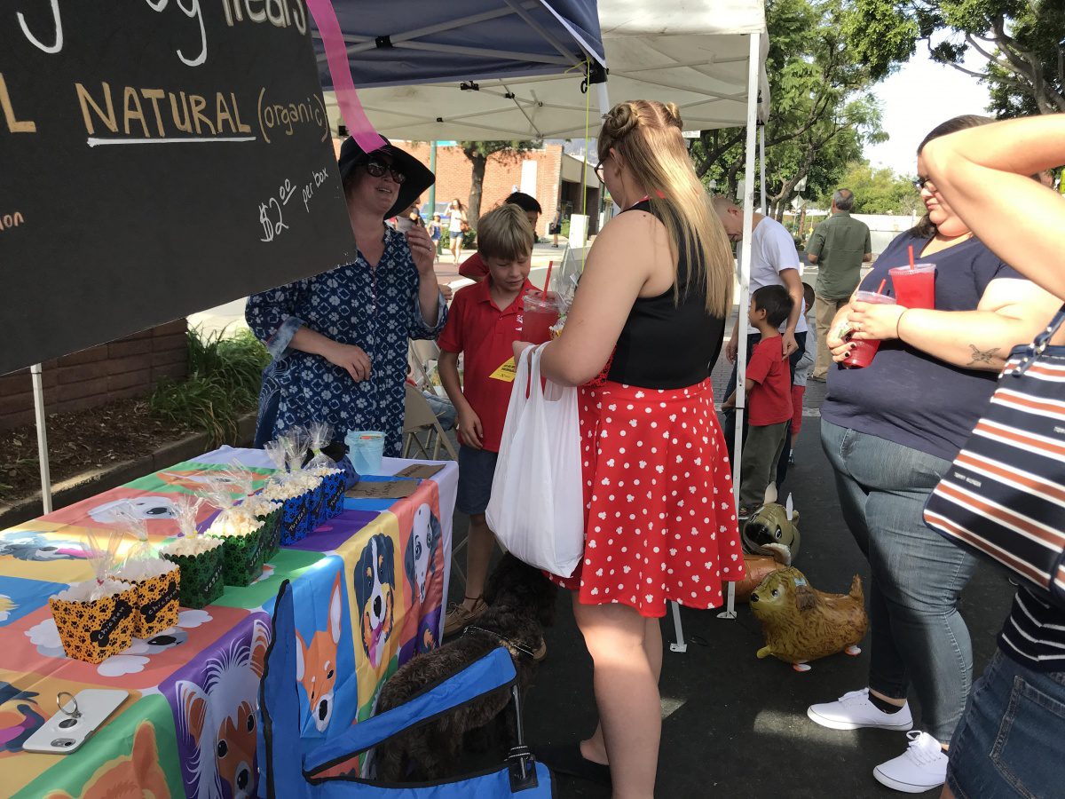 south-pasadena-news-10-31-2018-school-x | The South Pasadenan | South Pasadena News