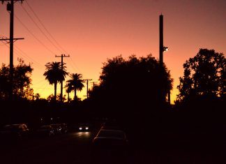 Second Annual Scary Story Contest | 2022 Contest Winners and Honorable Mentions