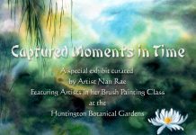Captured Moments In Time