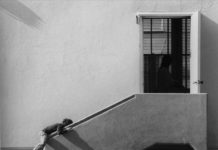 SPARC Gallery South Pasadena | Collected Works of Photographer William Ericson PHOTO: provided by SPARC | South Pasadenan News | The Collected Works of Photographer William Ericson runs through January 11, 2025.