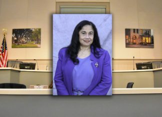 Bob Joe Concedes to Zneimer for District 1 Seat | 2020 City Council Election South Pasadena