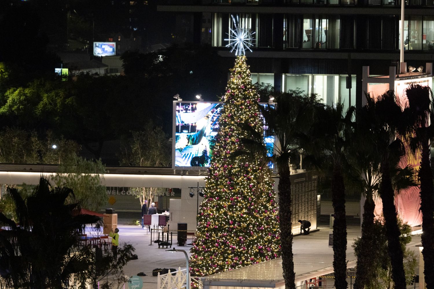 | The South Pasadenan | South Pasadena News PHOTO: provided by The Music Center | The South Pasadenan | Tree lighting on Jerry Moss Plaza in downtown LA.