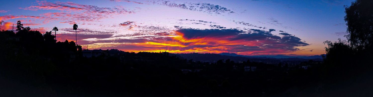 | The South Pasadenan | South Pasadena News "And it'll Rise Again" Bangar Jackson 1st Place Photography