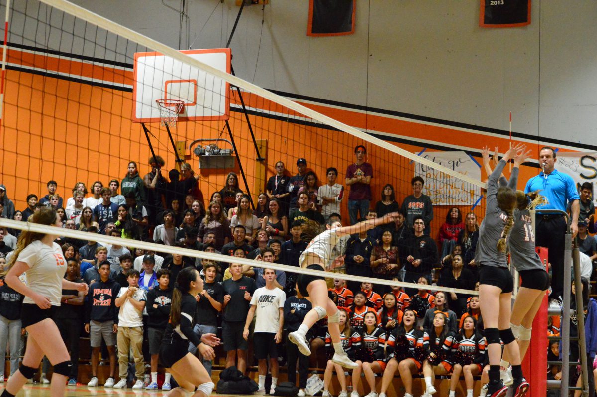 | The South Pasadenan | South Pasadena News