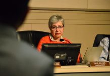City Adopts Green Action Plan | Councilmember Remains Apprehensive