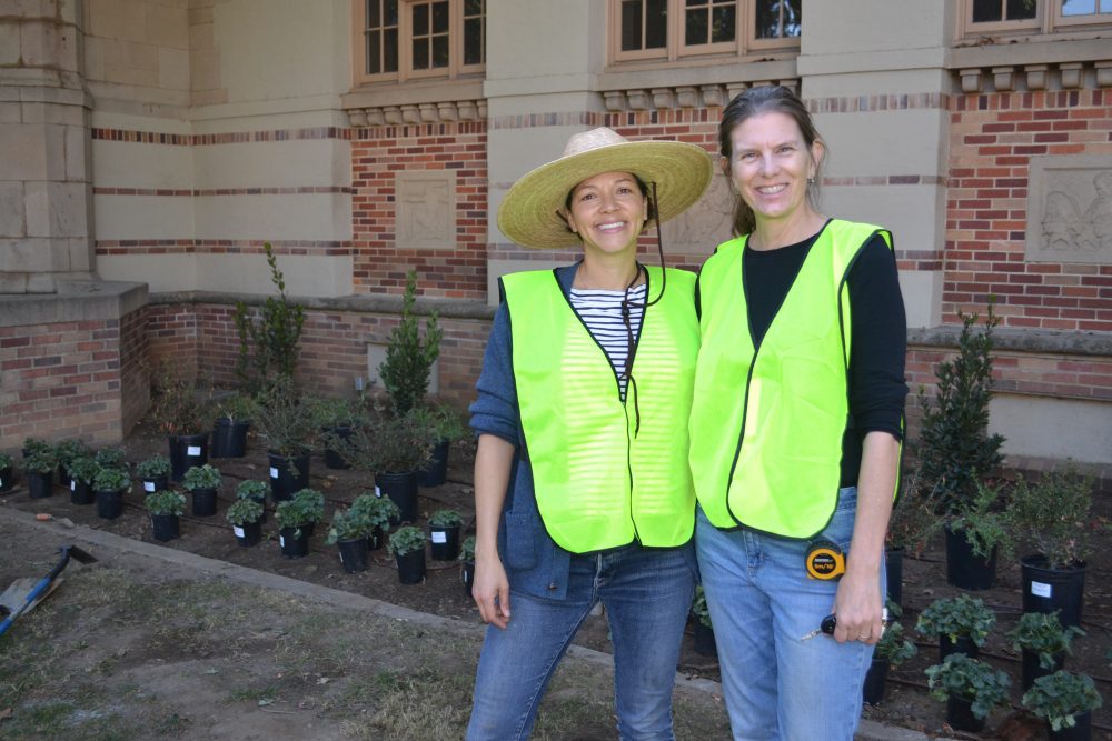 south-pasadena-news-11-21-17-making-south-pasadena-more-beautiful-1 | The South Pasadenan | South Pasadena News