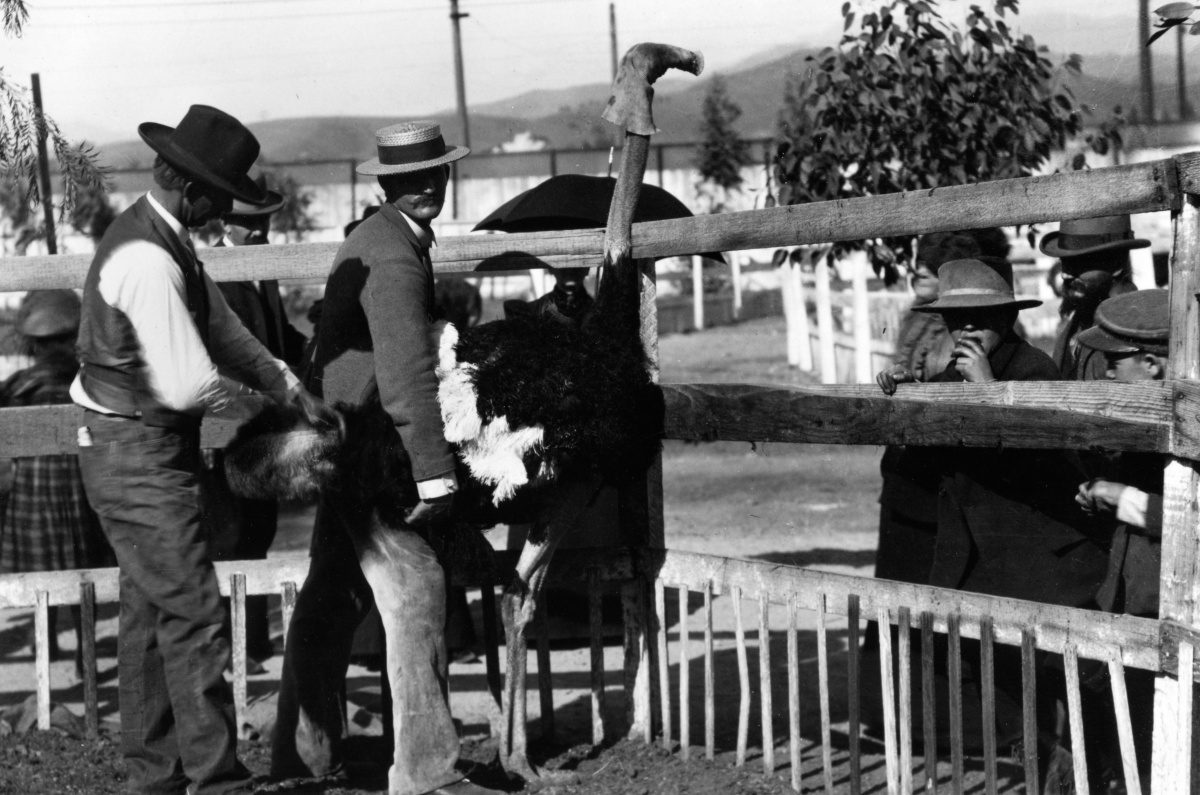 | The South Pasadenan | South Pasadena News