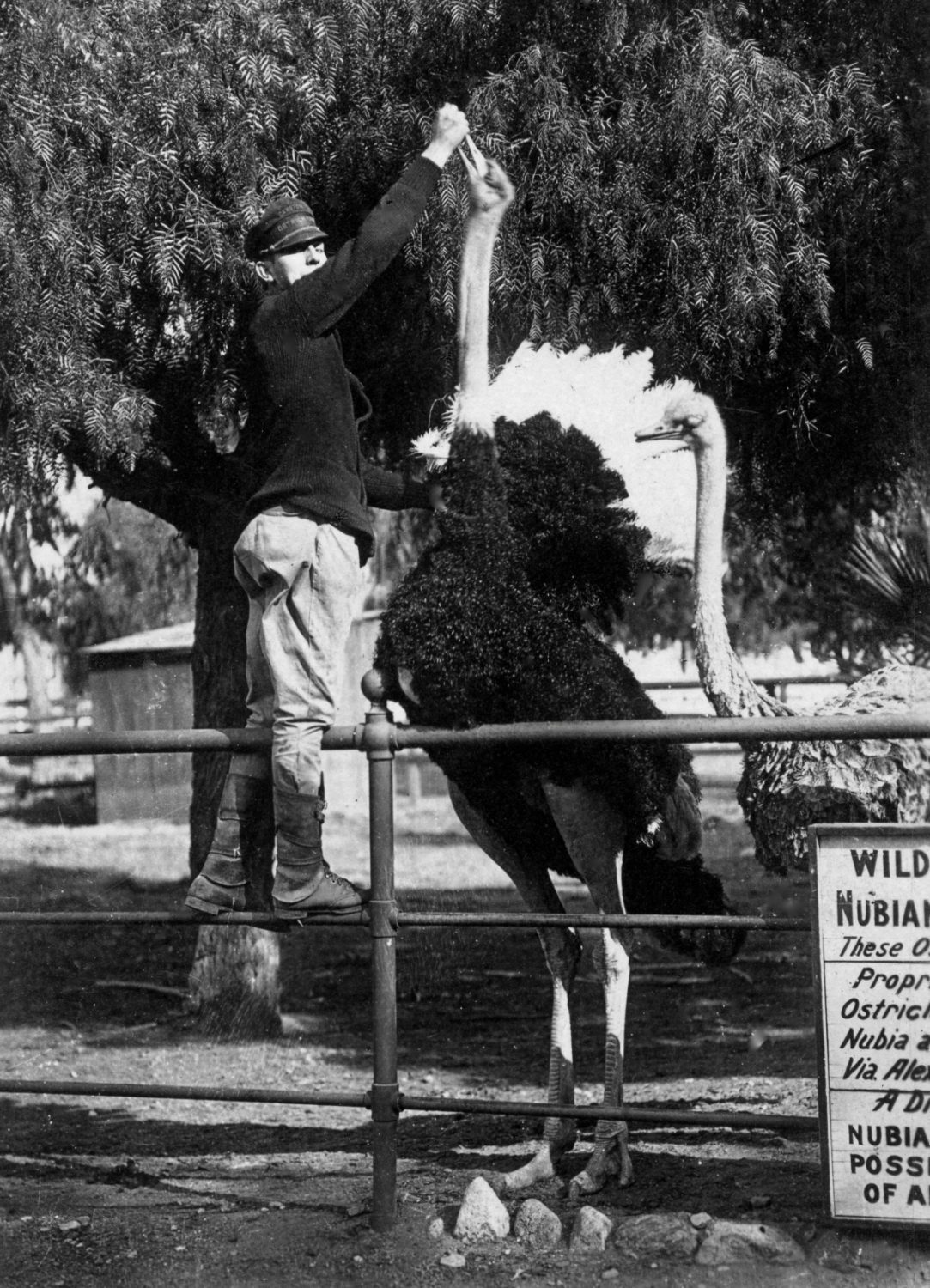 | The South Pasadenan | South Pasadena News