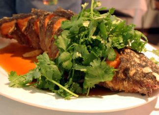 Shiro Restaurant | Thirty-Three Years and We’re Still Here