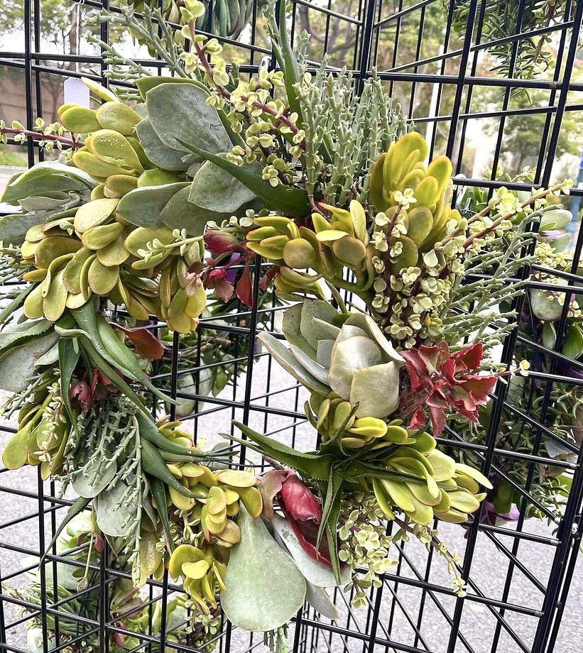 | The South Pasadenan | South Pasadena News PHOTO: provided by Woman's Club of South Pasadena | The South Pasadenan | Artful Succulents will be one of the curated artisans at the Sip & Shop Soiree.