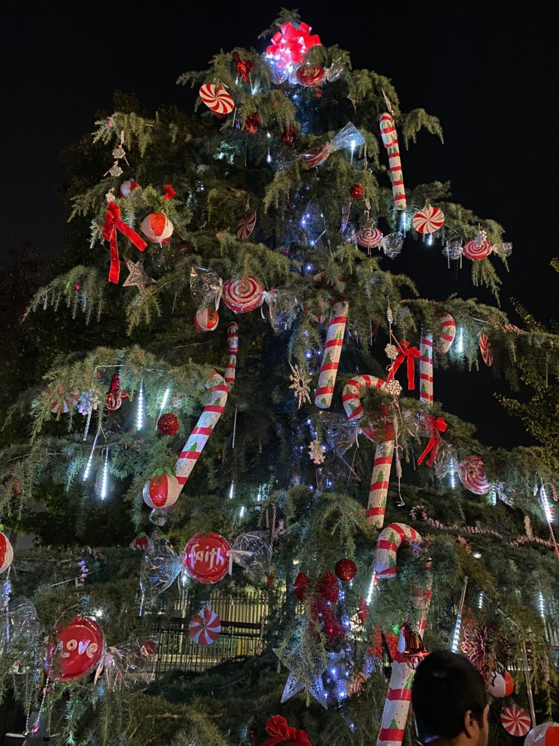 | The South Pasadenan | South Pasadena News