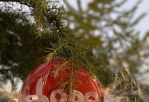 Festive Tree Lighting and Menorah Lighting in South Pasadena