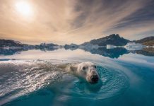 NAT GEO LIVE | Summit to Sea with Andy Mann, Photographer & Filmmaker