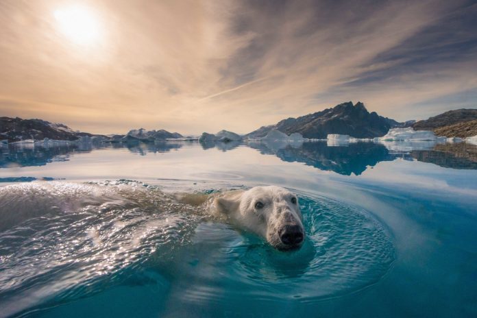 south-pasadena-news-12-05-19-nat geo_summit to sea-photo by Andy Mann
