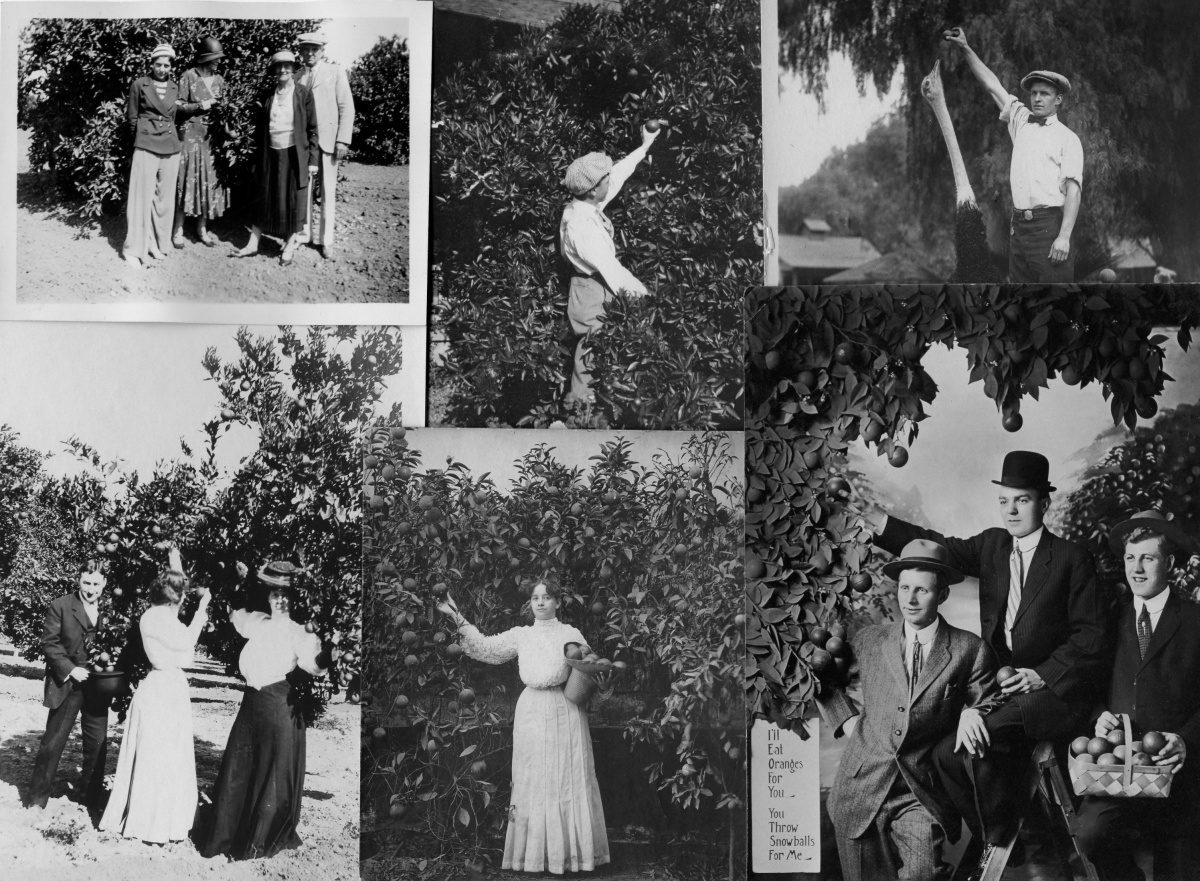 | The South Pasadenan | South Pasadena News