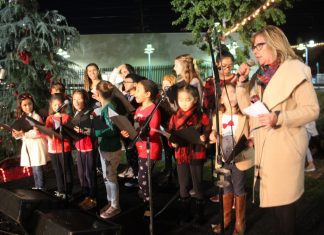 Music Filled Holiday Tree Lighting