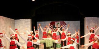 elf-jr-yst