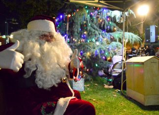 Farmer’s Market Tree Lighting | City & Chamber of Commerce Ring in the Holidays