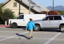 SPPD Focuses on Pedestrian Safety | Operation on Busy Road Gives Crucial Data