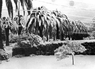 Throwback Thursday | What? Real Snow in South Pasadena? The Year was 1949