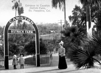 THROWBACK THURSDAY | Corner of Pasadena and Sycamore (Cawston Ostrich Farm)